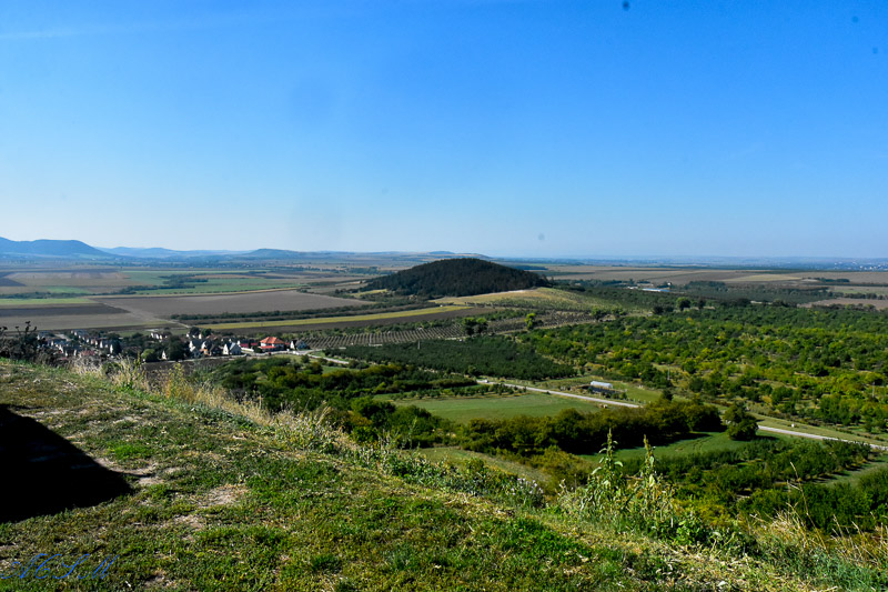 DSC_3364