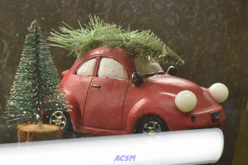 ACSM_0036