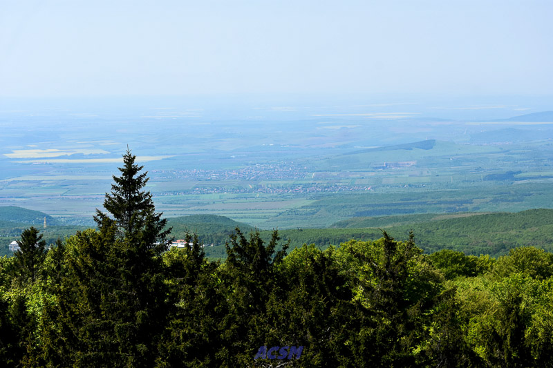 03 ACSM_0155