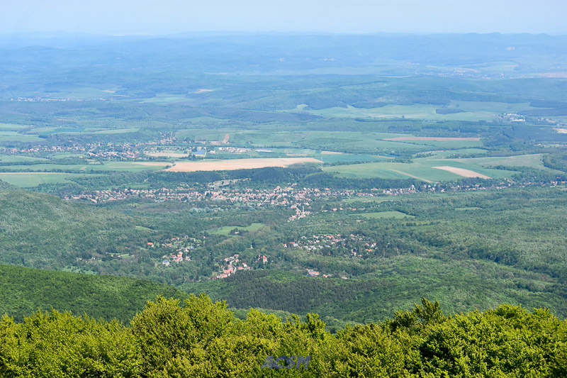 03 ACSM_0156