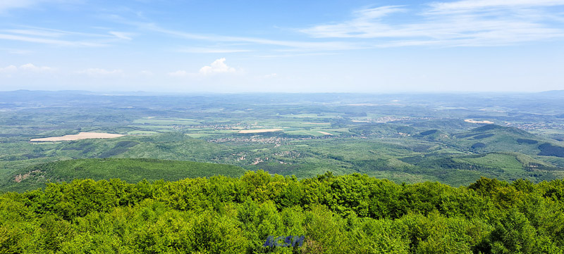 03 ACSM_0174