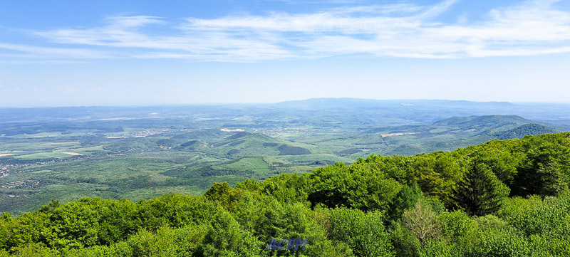 03 ACSM_0175