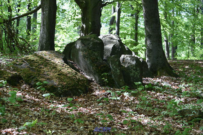 03 ACSM_0194