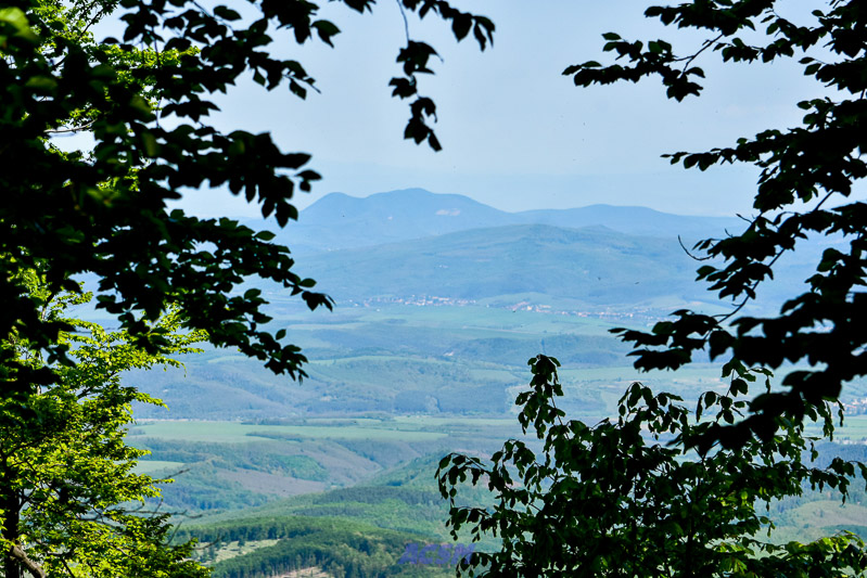 03 ACSM_0195