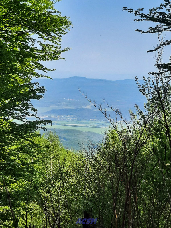 03 ACSM_0213