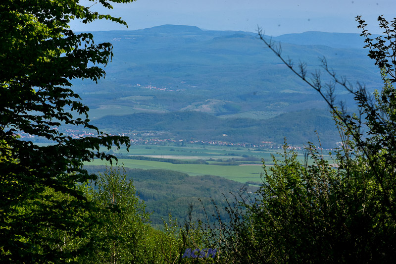 03 ACSM_0214