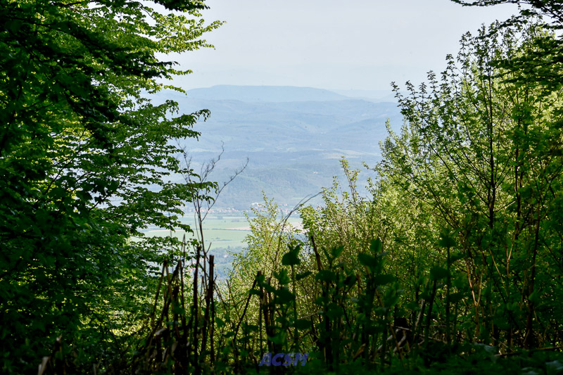 03 ACSM_0215