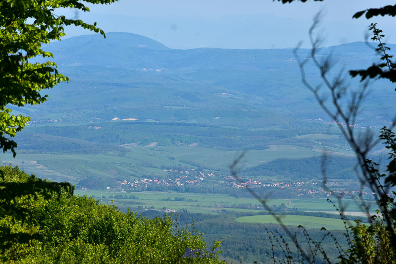 03 ACSM_0216