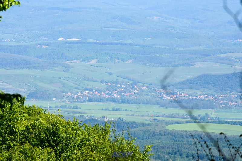 03 ACSM_0217