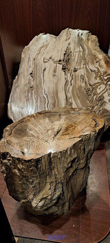 04 ACSM_0245