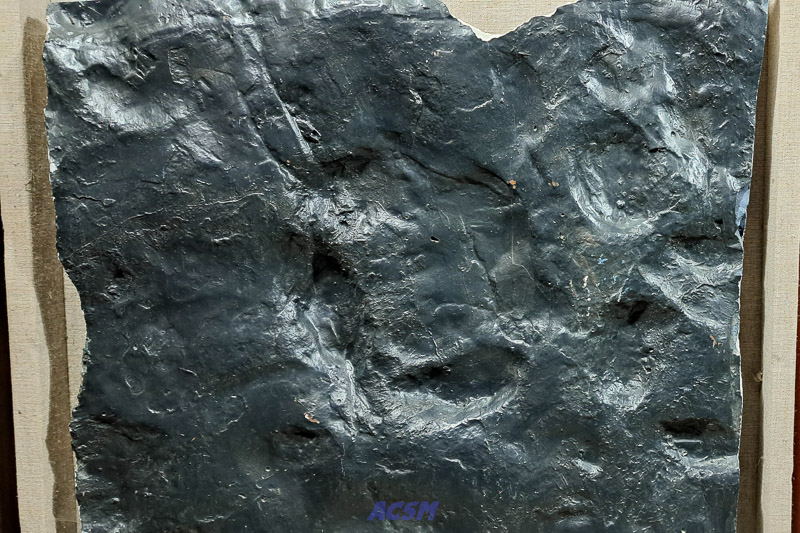 04 ACSM_0247