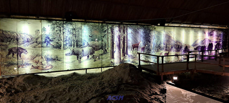 04 ACSM_0251