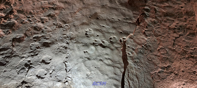 04 ACSM_0252