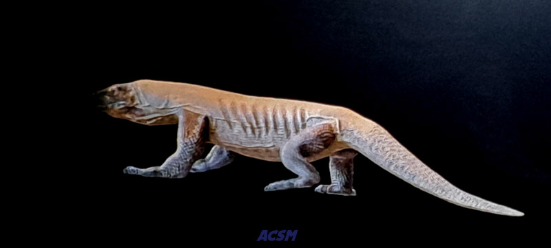 04 ACSM_0255