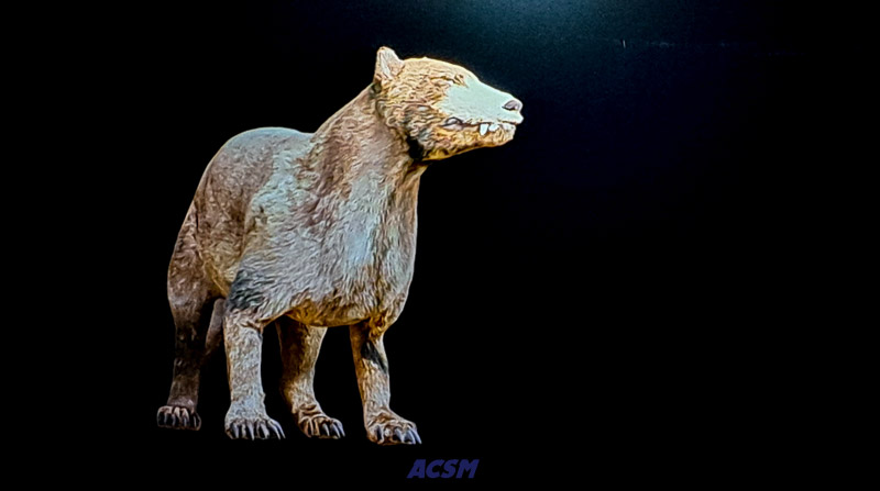 04 ACSM_0256