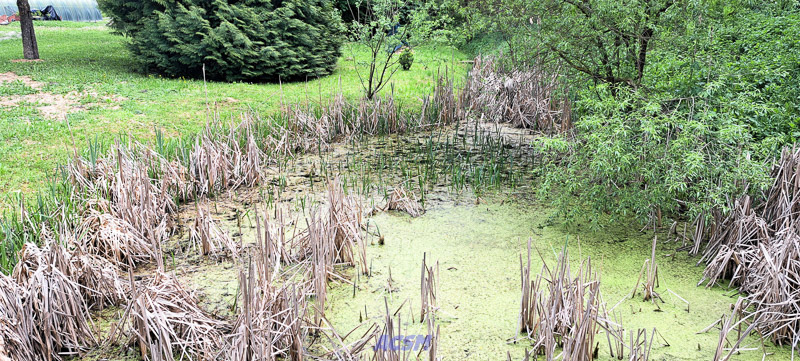 04 ACSM_0278