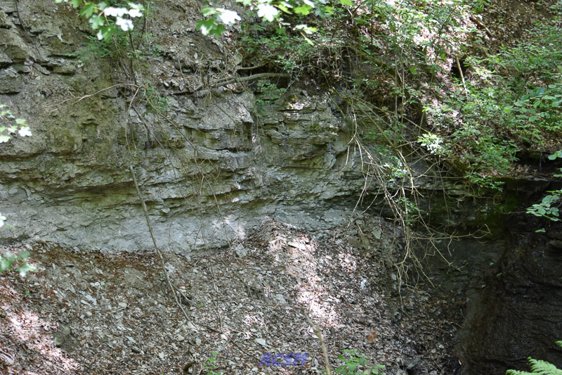 04 ACSM_0290