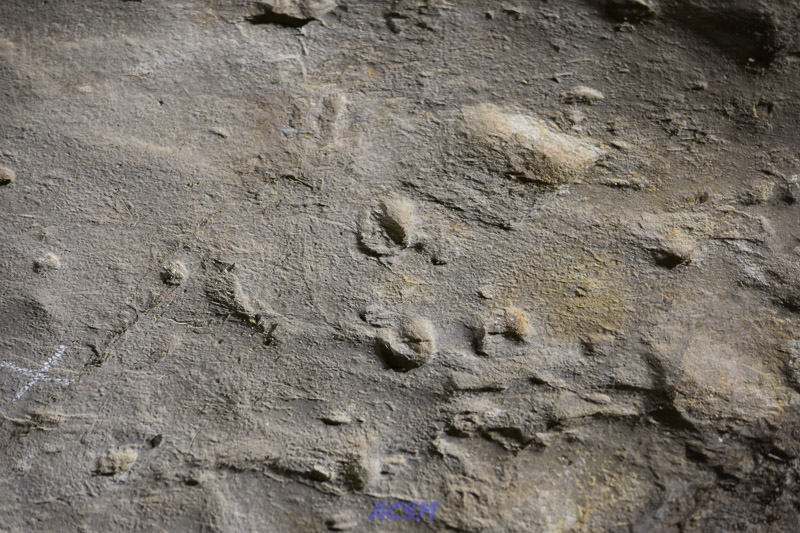 04 ACSM_0292