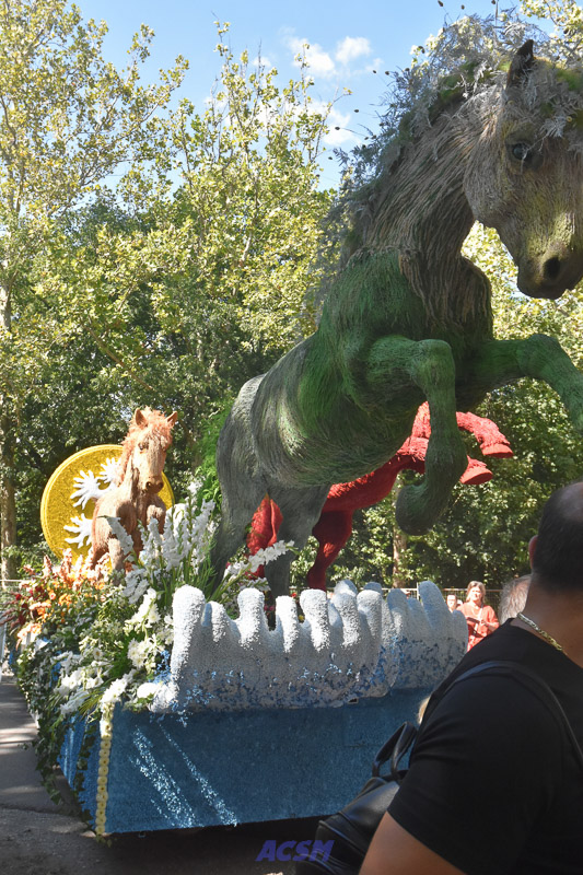 DSC_5010