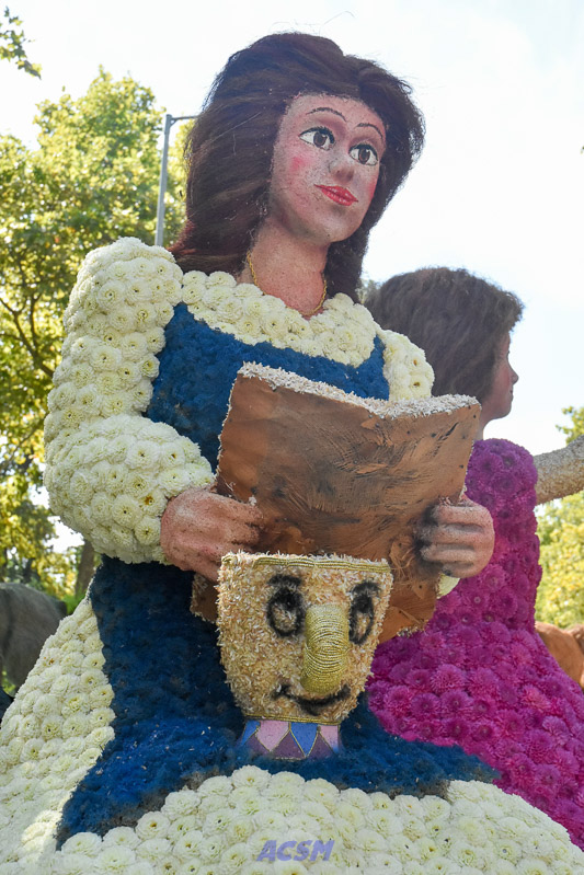 DSC_5042