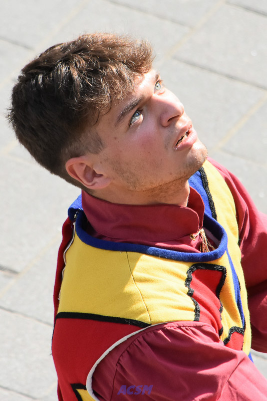 DSC_5447