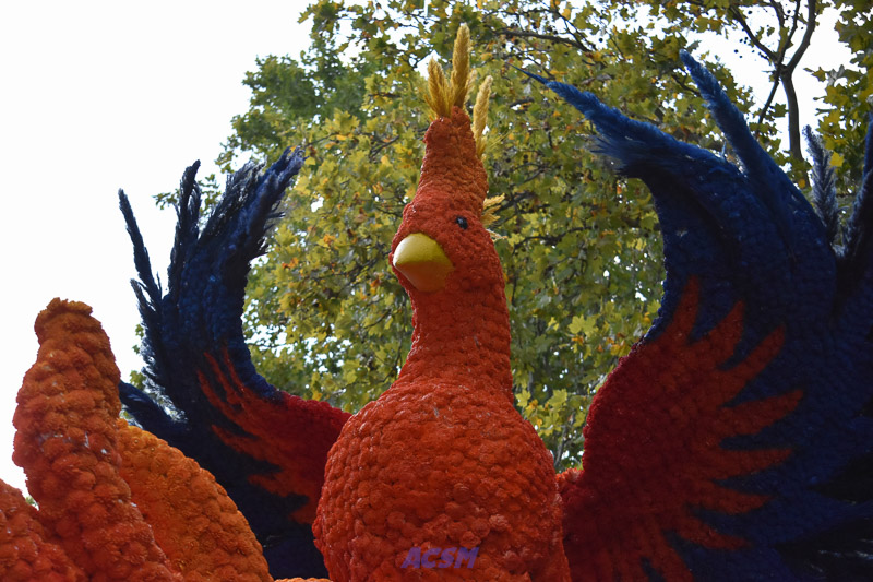 DSC_5721