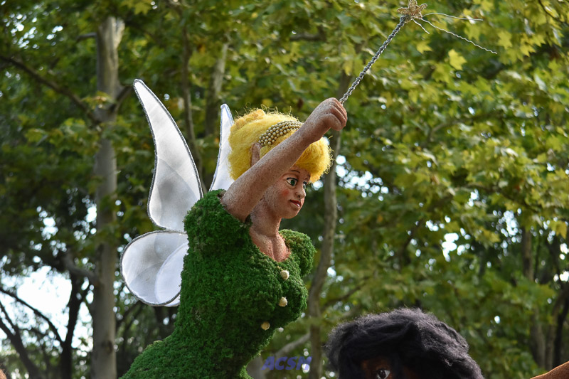 DSC_5739