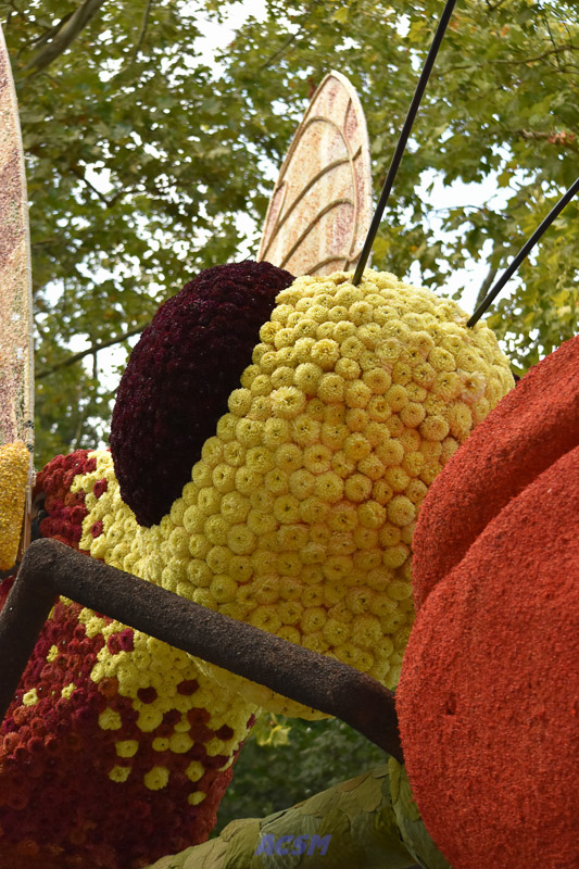 DSC_5751