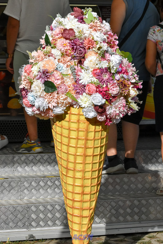 DSC_5783