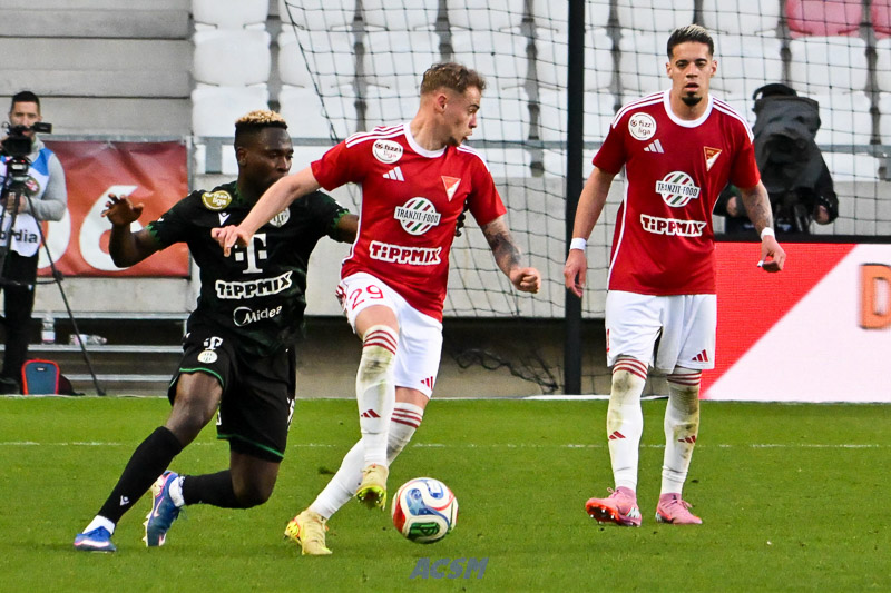 DSC_2867