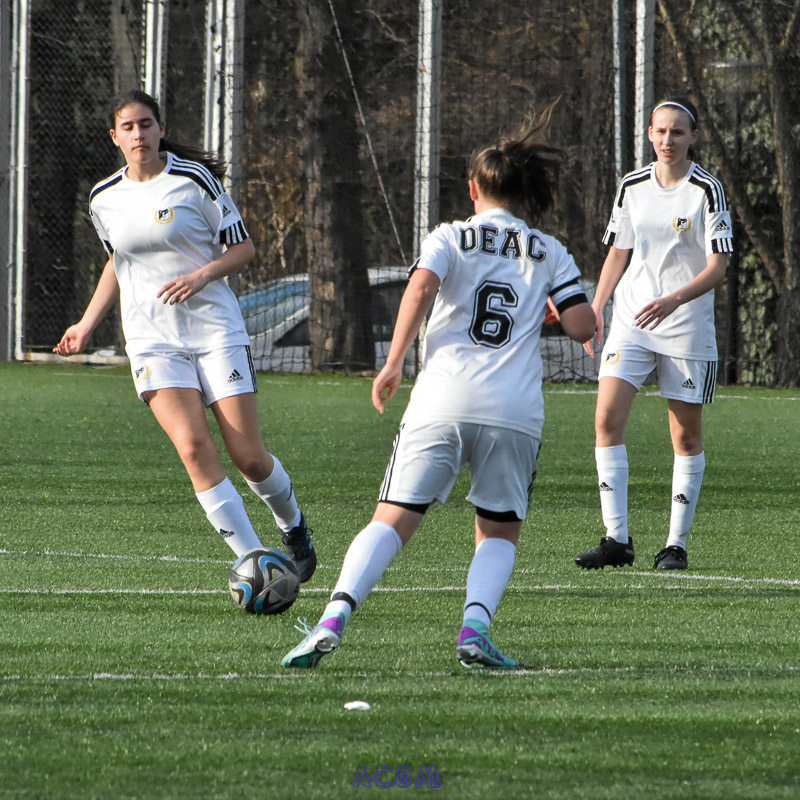 DSC_9503