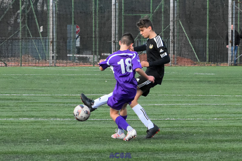DSC_0733