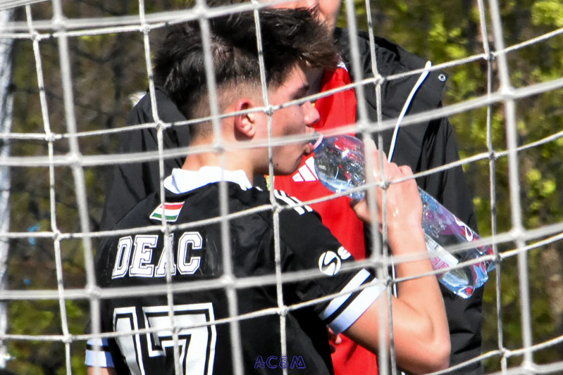 DSC_4212