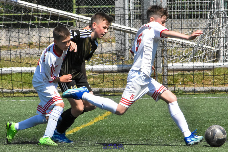 DSC_2204