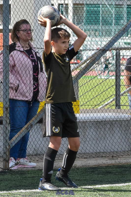 DSC_2519