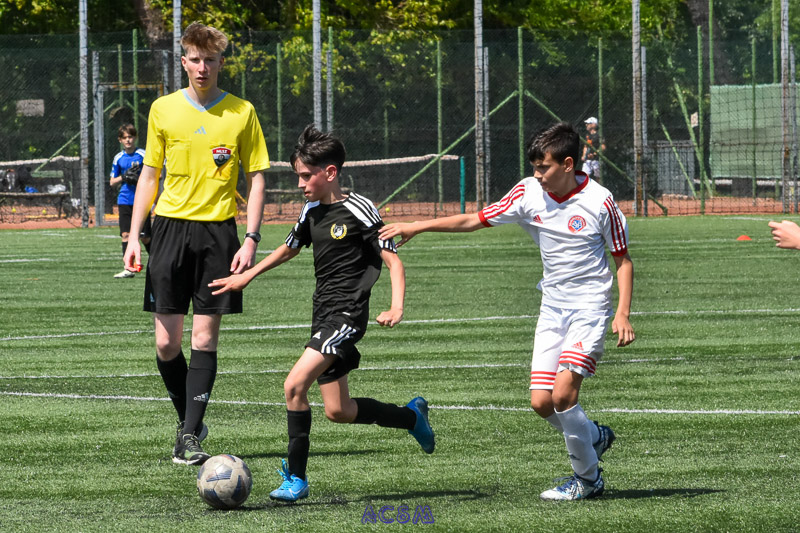 DSC_2597