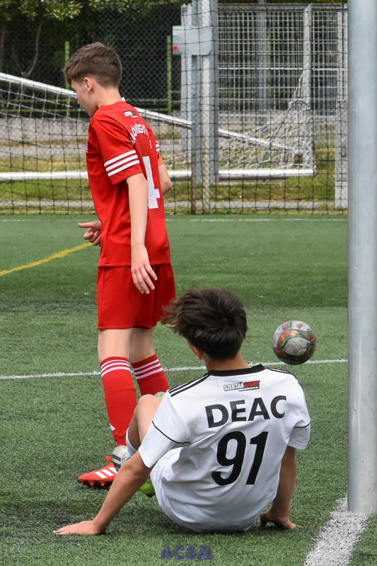 DSC_3631