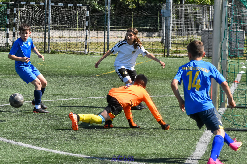 DSC_6795