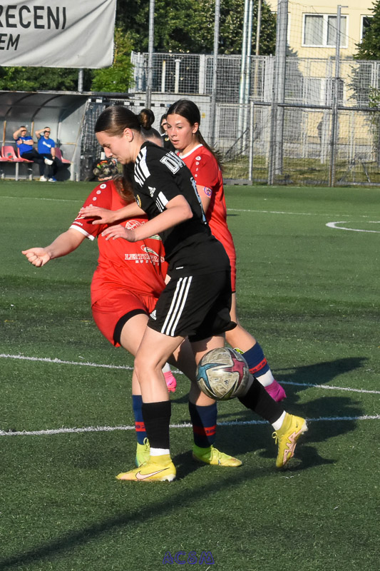 DSC_7695
