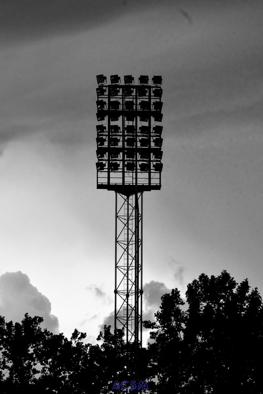 DSC_7514