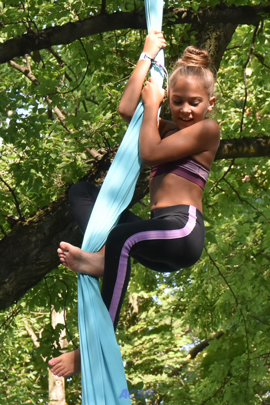 DSC_5278