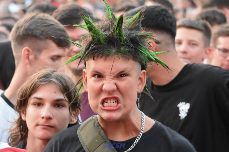 DSC_6336