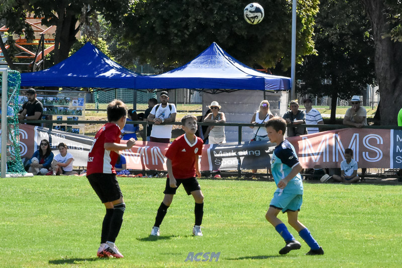 DSC_2864