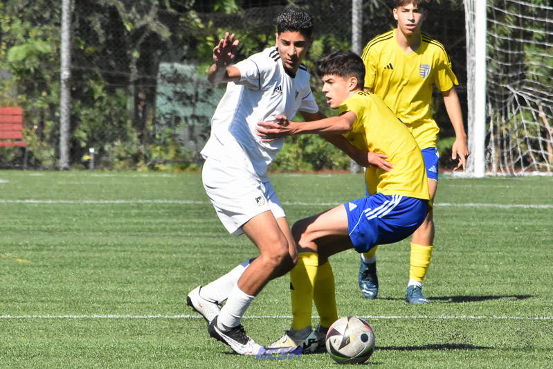 DSC_2107