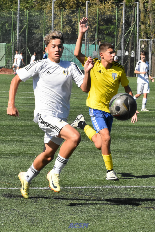 DSC_2837
