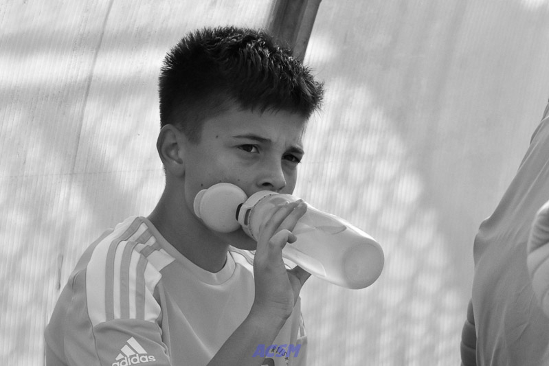 DSC_8220