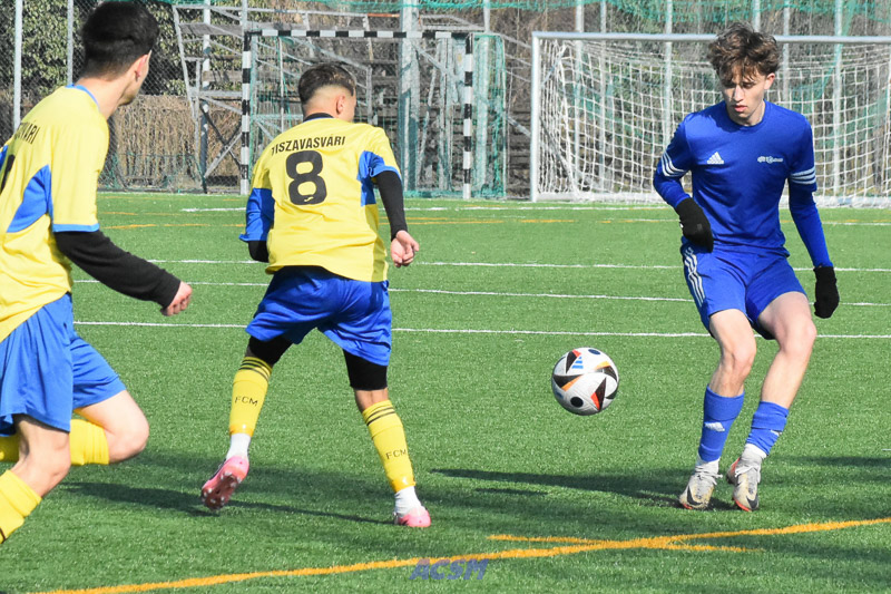 DSC_7017