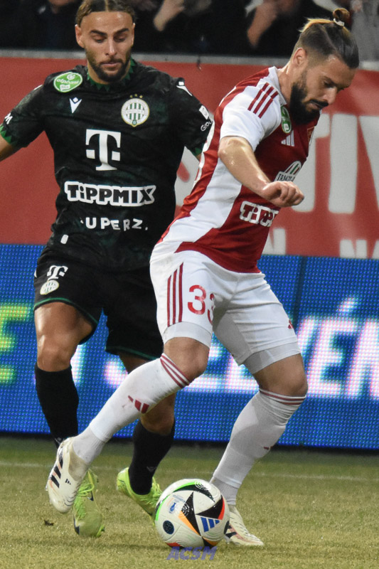 DSC_5241