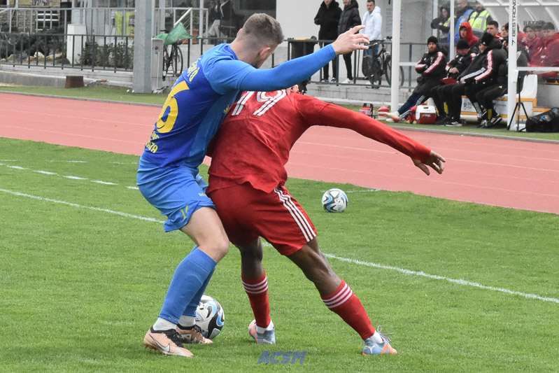 DSC_4775