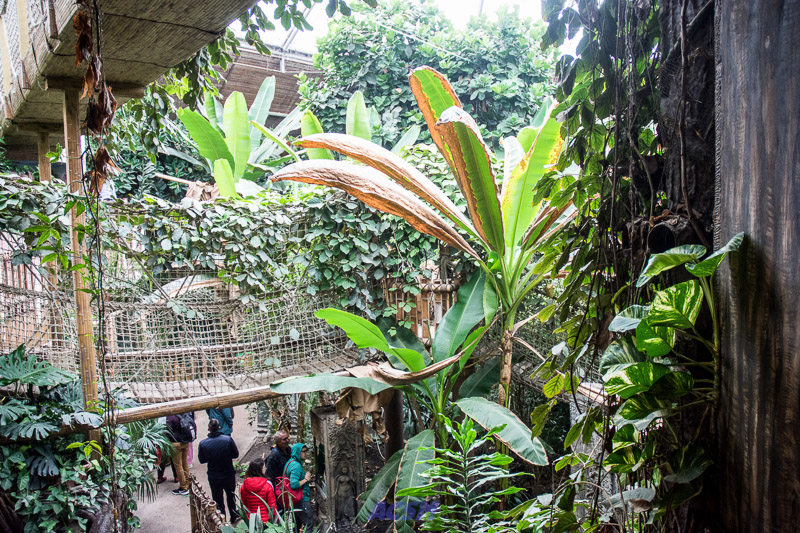 acsm_zoo0020